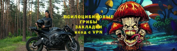 прущие грибы Михайловск
